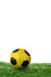 Soccer ball Soccer ball