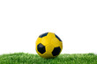 Soccer ball Soccer ball