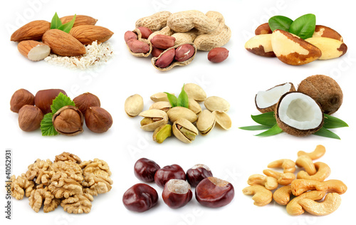 Photo: Collection of nuts Collection of nuts