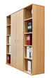 bookcase with folders