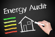 Energy Audit