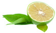 citron vert citron vert