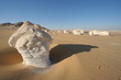 désert blanc