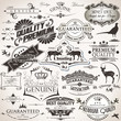 Set of vintage design elements Set of vintage design elements