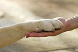 Best friends
