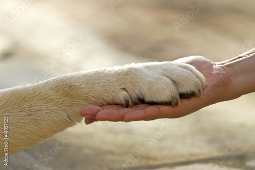 Photo: Best friends Best friends