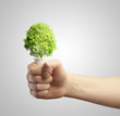 Eco green energy saving in the future concept Eco green energy saving in the future concept