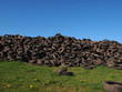 Altreifenhalde