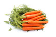 Fresh carrots