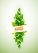 Vector nature background