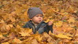 6 months boy sits surrounded by autumn leafs