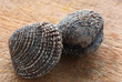 Tartufi di mare