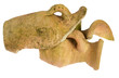 Broken clay jar