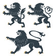 Heraldic Lions set