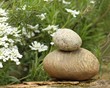 zen