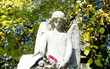 Tübinger Friedhof