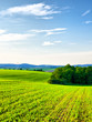 Cultivated countryside