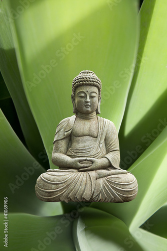 Photo: Statue Bouddha Statue Bouddha