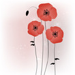 Beautiful poppies background illustration Beautiful poppies background illustration