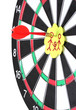 Darts with stickers depicting the life values close-up Darts with stickers depicting the life values close-up