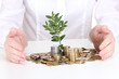 Woman hands with coins and plant
