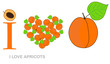 i love apricots concept