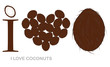 i love coconuts concept
