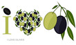 i love olives concept