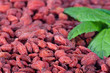 Goji berries close-up