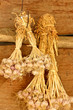 Garlic hanging on the wall. For cooking