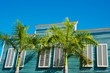 Carribean Dream