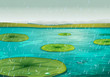 Rain on the pond