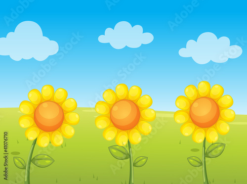 Vektor: sunflowers sunflowers