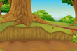 dirt path dirt path
