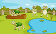 Turtles