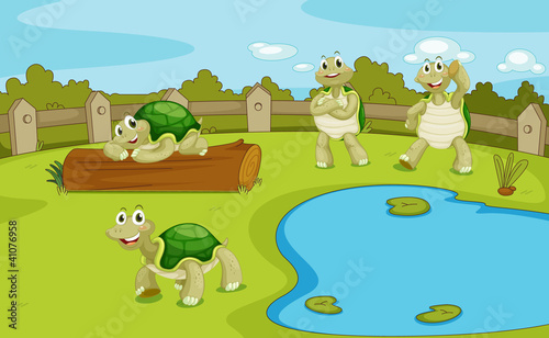 Vector: Turtles Turtles