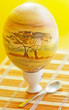 ostrich egg