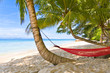 hammock beach palms
