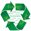 A fényképek részletei Web Art Design ECOLOGY TAG CLOUD NUAGE  050