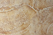 Background from high detailed fragment stone wall Background from high detailed fragment stone wall