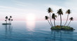 Palms
