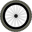 bike wheel with tire and spokes isolated on white