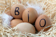Organic Eggs Organic Eggs