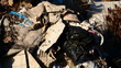 Urban illegal dump