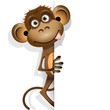 monkey