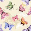 Detaily fotografie Butterflies seamless background
