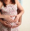 Pregnant asian hands couple. Warm tone color. Pregnant asian hands couple. Warm tone color.
