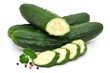 Salatgurke
