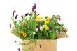 Frische Blumen im Karton