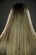 Amazing long straight brunette hair